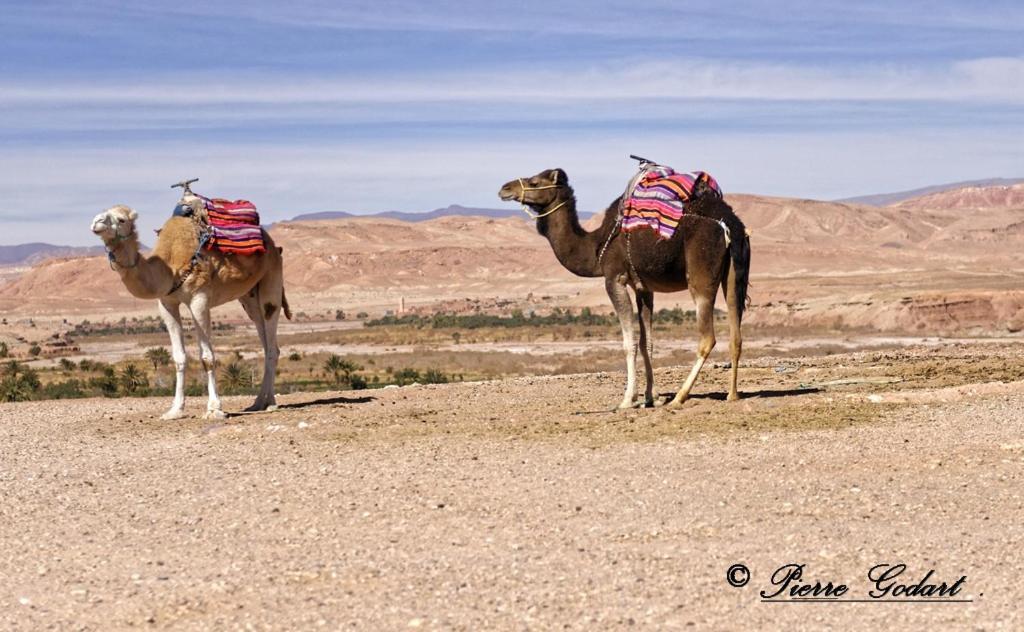 Riad Parfums De Ouarzazate Exterior photo